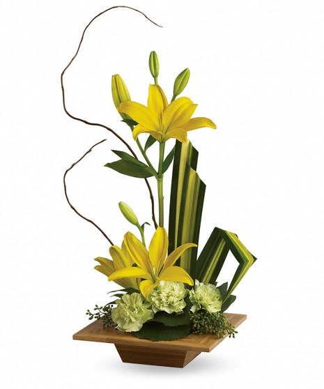 Bamboo Artistry - Conklyn's Flowers