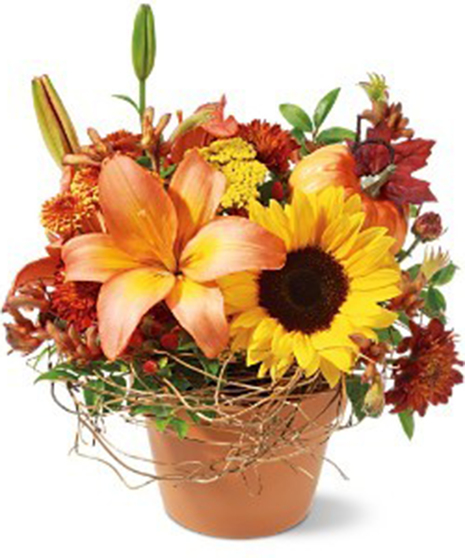 Pumpkin Patch - Floral Bouquet - Conklyn's Flowers