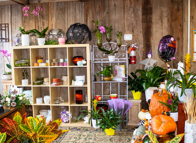 Candles, pottery, pumpkins and balloons in our Alexandria showroom