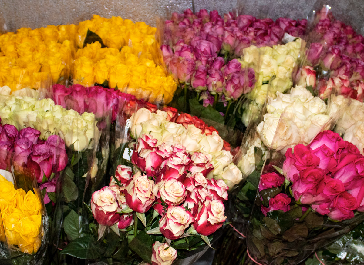 A close look at the lovely bouquets, chilling in our walk-up cooler